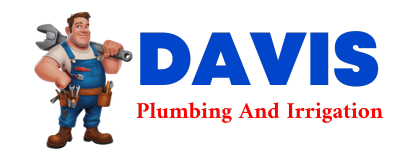 Trusted plumber in WENDELL DEPOT